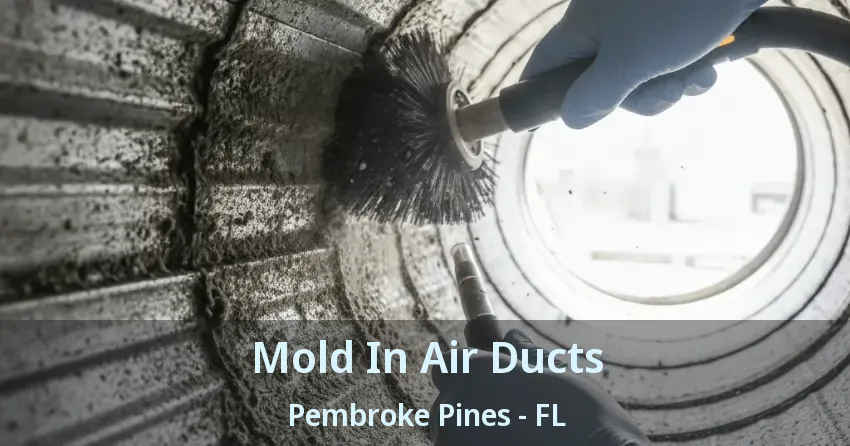 Mold In Air Ducts Pembroke Pines - FL