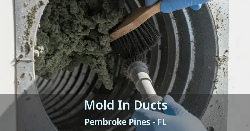 Mold In Ducts Pembroke Pines - FL